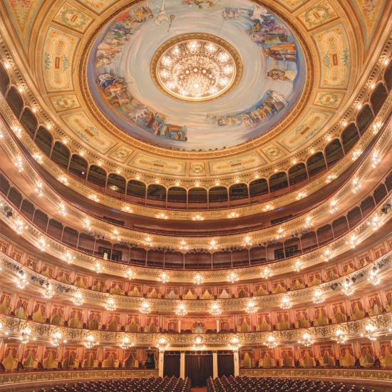 Consultant for the restoration of the Colón Theater, Buenos Aires, Argentina